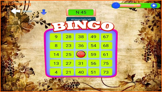 Bingo Casino 2018 screenshot