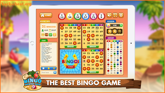 Bingo Country Days screenshot
