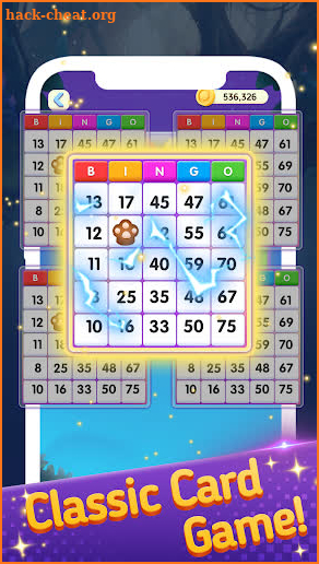 Bingo Craze screenshot