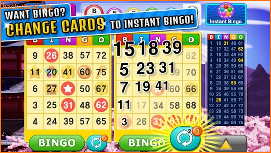 Bingo Craze screenshot