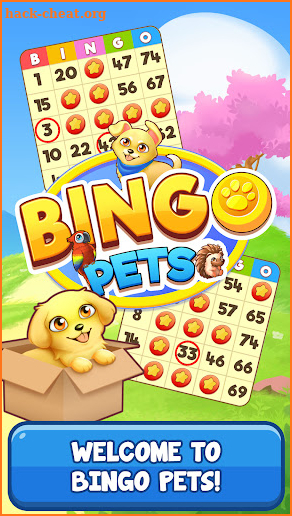 Bingo:  Free the Pets screenshot