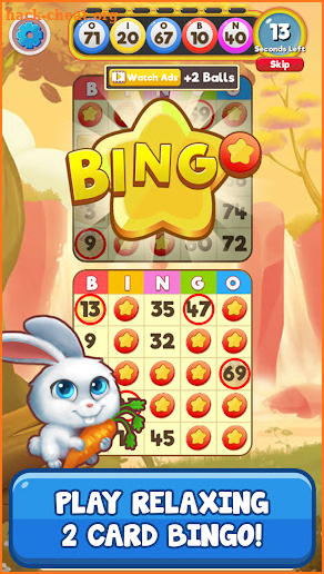 Bingo:  Free the Pets screenshot