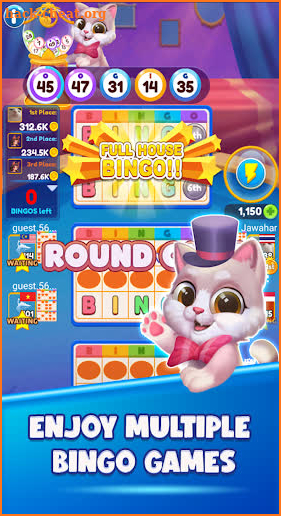 Bingo Online Zingplay screenshot