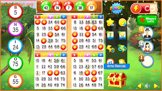 Bingo Play: Bingo Offline Fun screenshot