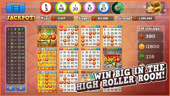 Bingo Pop screenshot