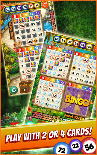 Bingo Quest - Summer Garden Adventure screenshot