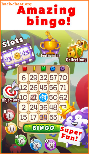 Bingo Raccoon screenshot