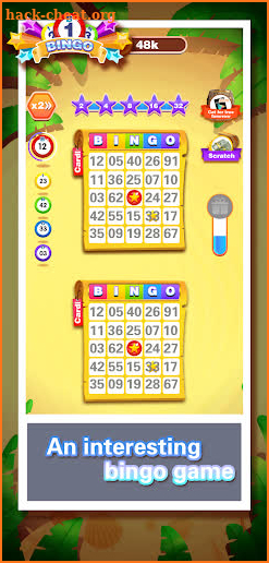 Bingo Revelry Money screenshot