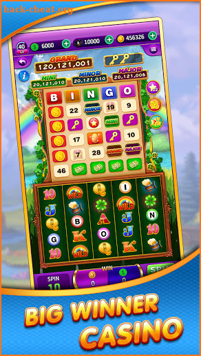 Bingo Slots Frenzy screenshot