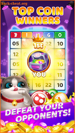 Bingo Winner screenshot