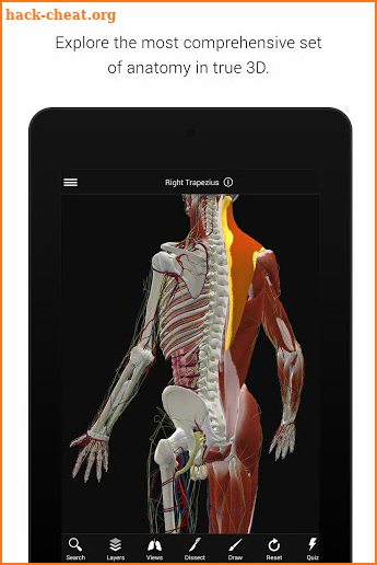 BioDigital Human - 3D Anatomy screenshot
