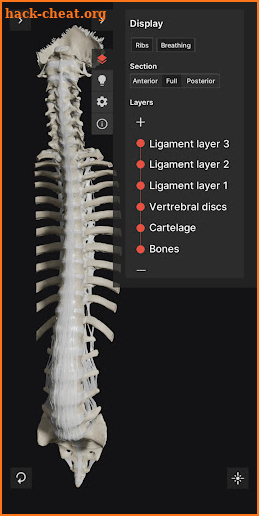 Biomechanics of the Spine Lite screenshot