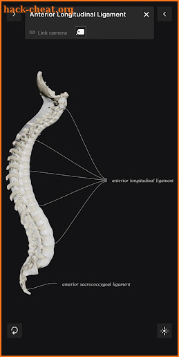 Biomechanics of the Spine Lite screenshot