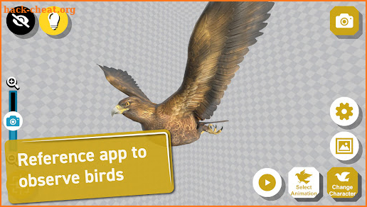 Bird 3D Reference screenshot