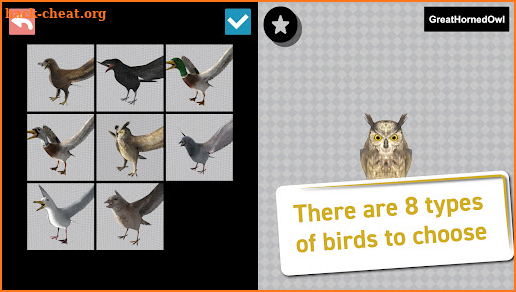 Bird 3D Reference screenshot