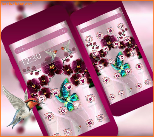 Bird and Flower Theme screenshot