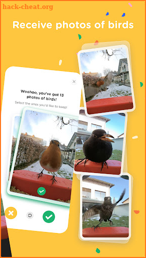 Bird Buddy: Smart Bird Feeder screenshot