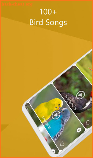 Bird call screenshot