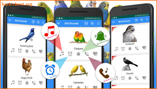 Bird Calls, Sounds & Ringtones for mind relaxation screenshot