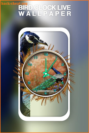 Bird Clock Live Wallpaper screenshot