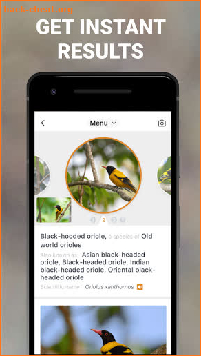 Bird Guide: Identify Birds screenshot