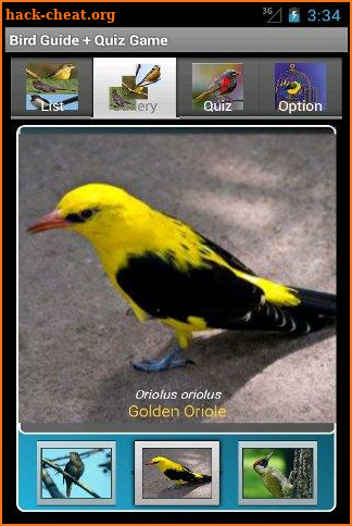 Bird Guide + Quiz Game screenshot