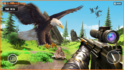 Bird Hunting 2021: New Sniper Hunter games 2021 screenshot