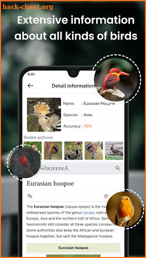 Bird identification: Picture bird identifier app screenshot