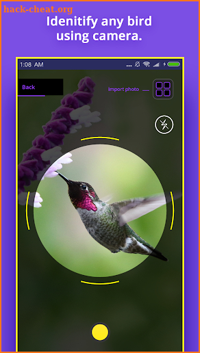 Bird Identifier screenshot
