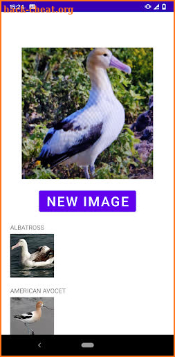 Bird identifier screenshot