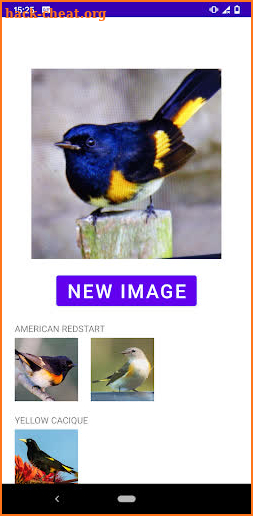 Bird identifier screenshot