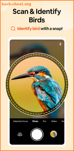 Bird Identifier: Identify Birds with photo Bird ID screenshot
