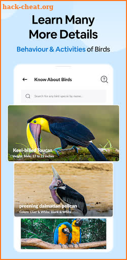 Bird Identifier: Identify Birds with photo Bird ID screenshot