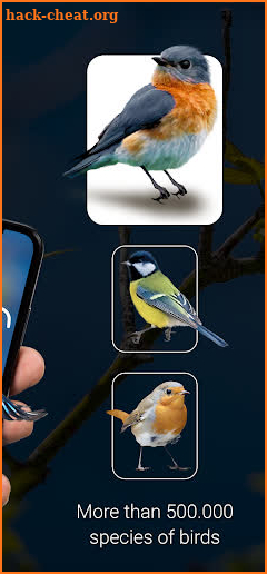 Bird Identifier - Picture Bird screenshot