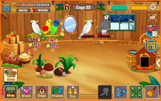 Bird Land Paradise: Pet Shop Game, Play with Bird screenshot