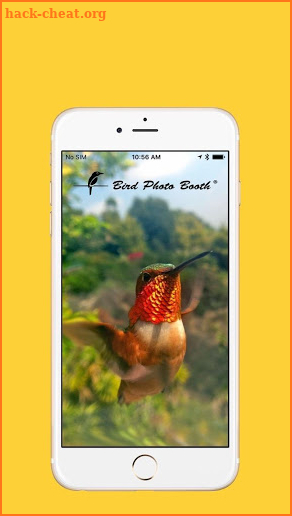 Bird Photo Booth screenshot