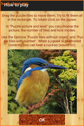 bird puzzle screenshot