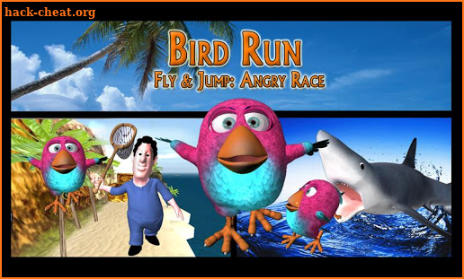 Bird Run, Fly & Jump Deluxe screenshot