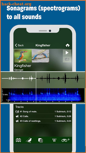 BIRD SONGS Europe, North Africa + Middle East screenshot