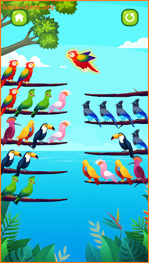 Bird Sort Puzzle screenshot