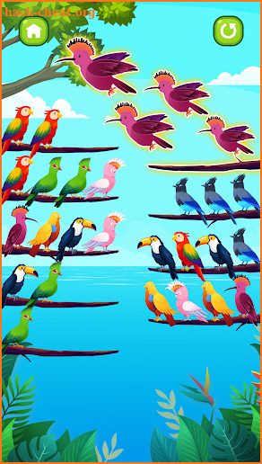 Bird Sort Puzzle screenshot