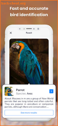 Bird Sound Bird Identifier screenshot