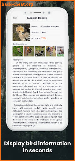 Bird Sound Bird Identifier screenshot