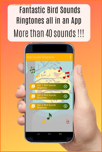Bird Sound Ringtones amazing, for cell phone screenshot