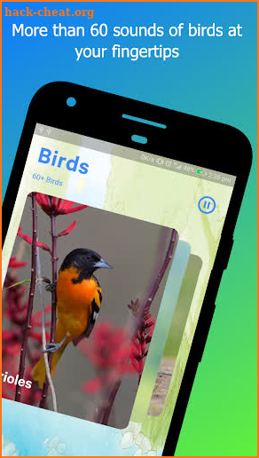 Bird Sounds screenshot
