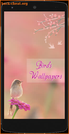 Bird Wallpapers HD screenshot