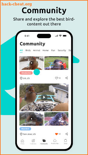 Birdfy screenshot