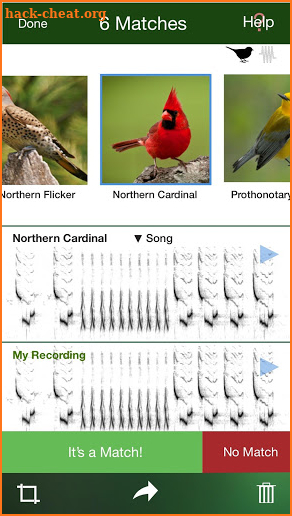 BirdGenie: ID Birds by Song screenshot