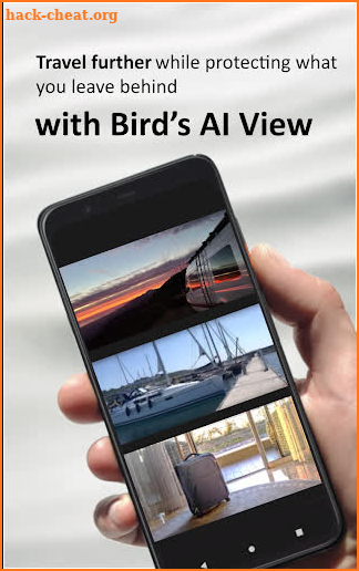 Bird’s Ai View Premium screenshot
