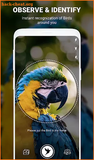Birds Identifier App by Photo, Bird ID Camera 2020 screenshot